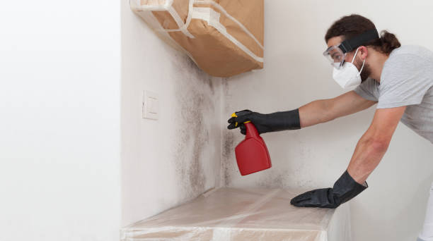 Professional Mold Cleanup technician working in Inwood, NY